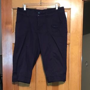 Navy blue skimmer pants